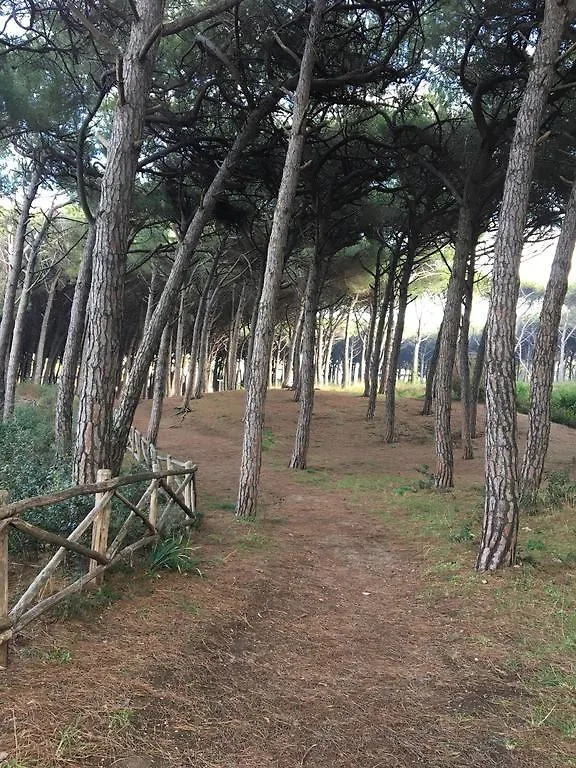 Appartement Il Pinolo à Marina di Cecina